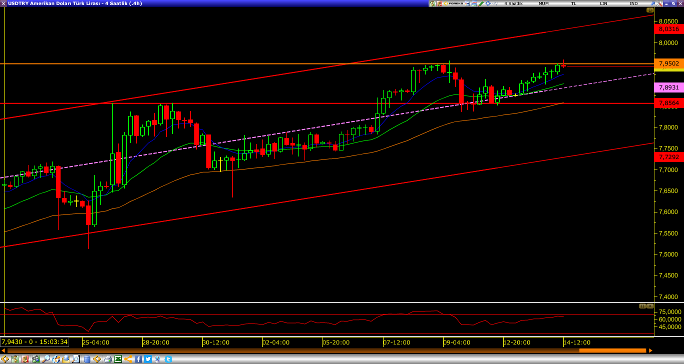 DOLAR/TL`DE YENİ REKOR