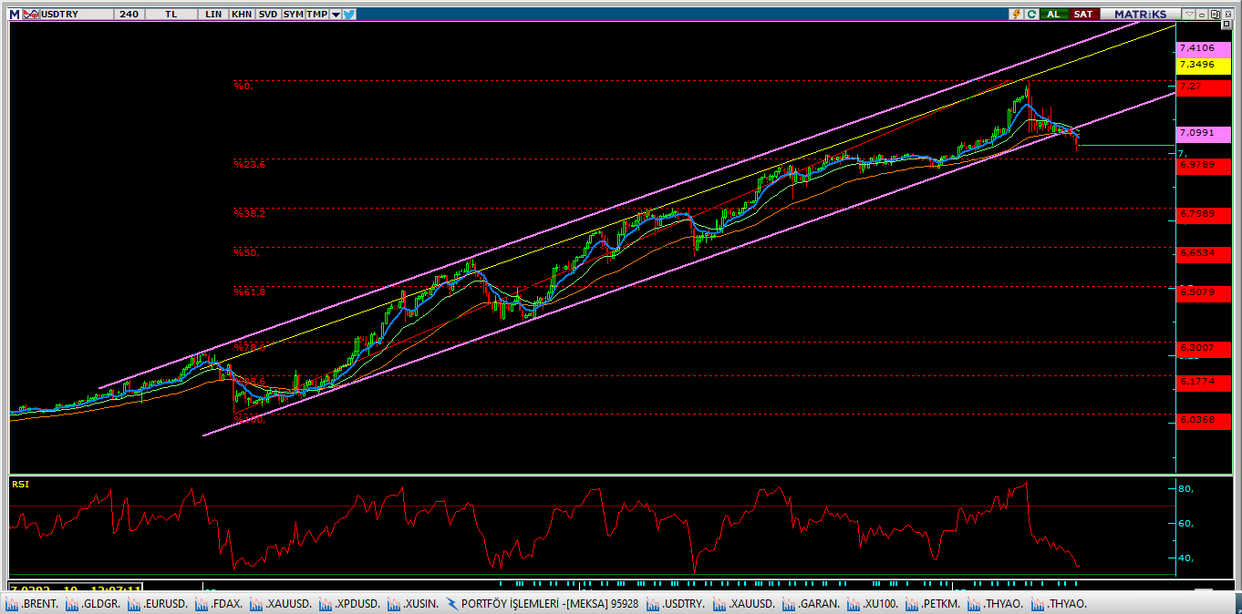 DOLAR/TL`DE DÜŞÜŞ DEVAM EDER Mİ ?